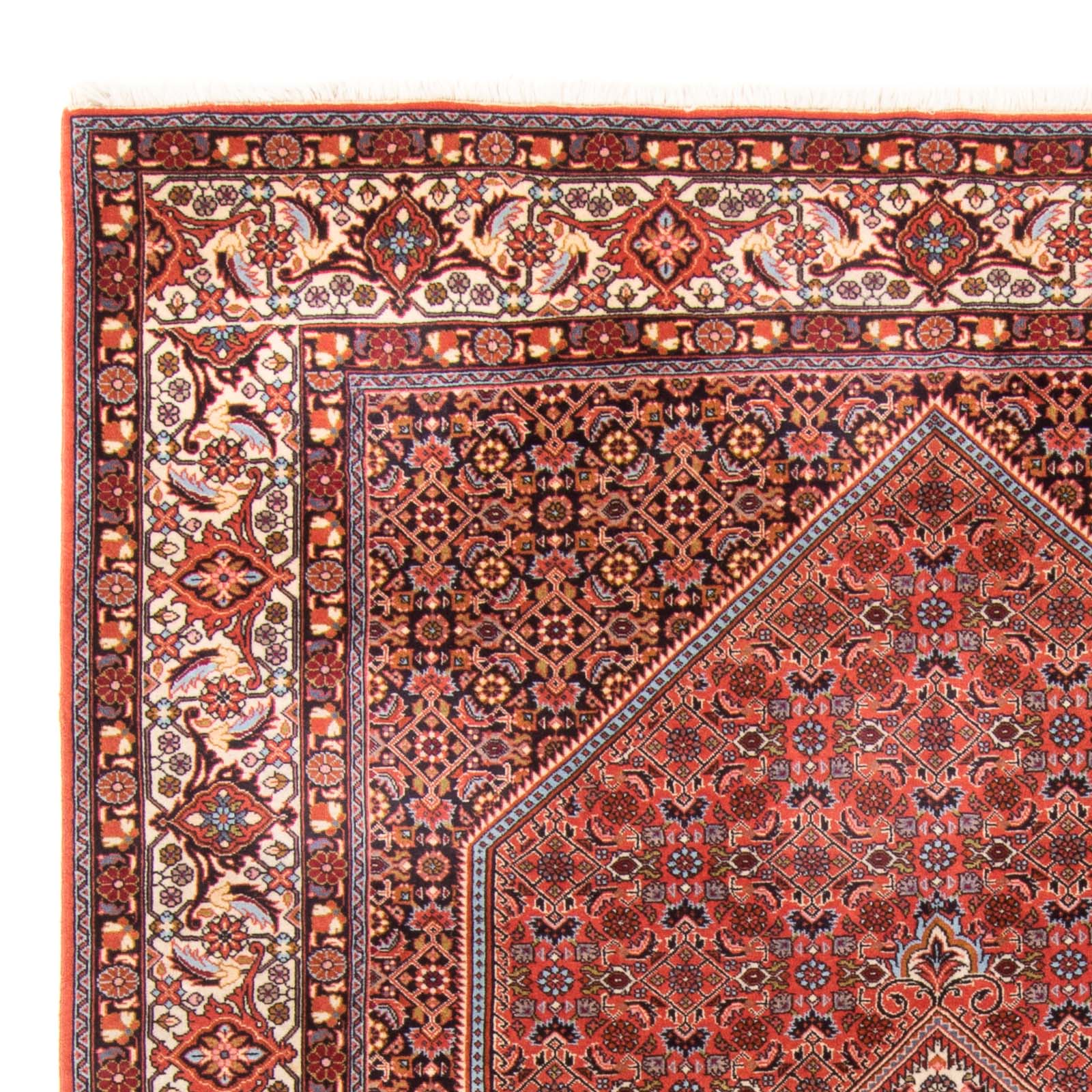 Tapis persan - Bidjar - 295 x 195 cm - rouge