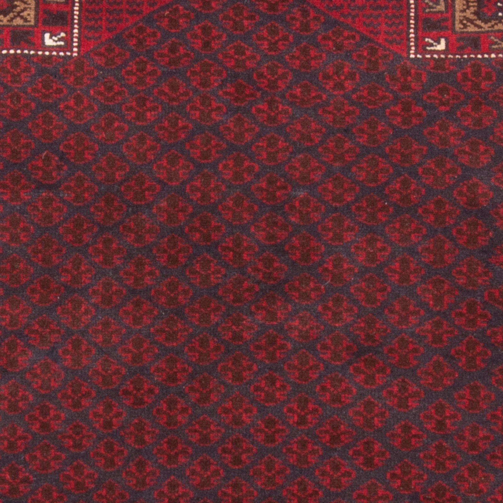 Tapis Belutsch - Tapis de prière - 155 x 103 cm - bleu foncé