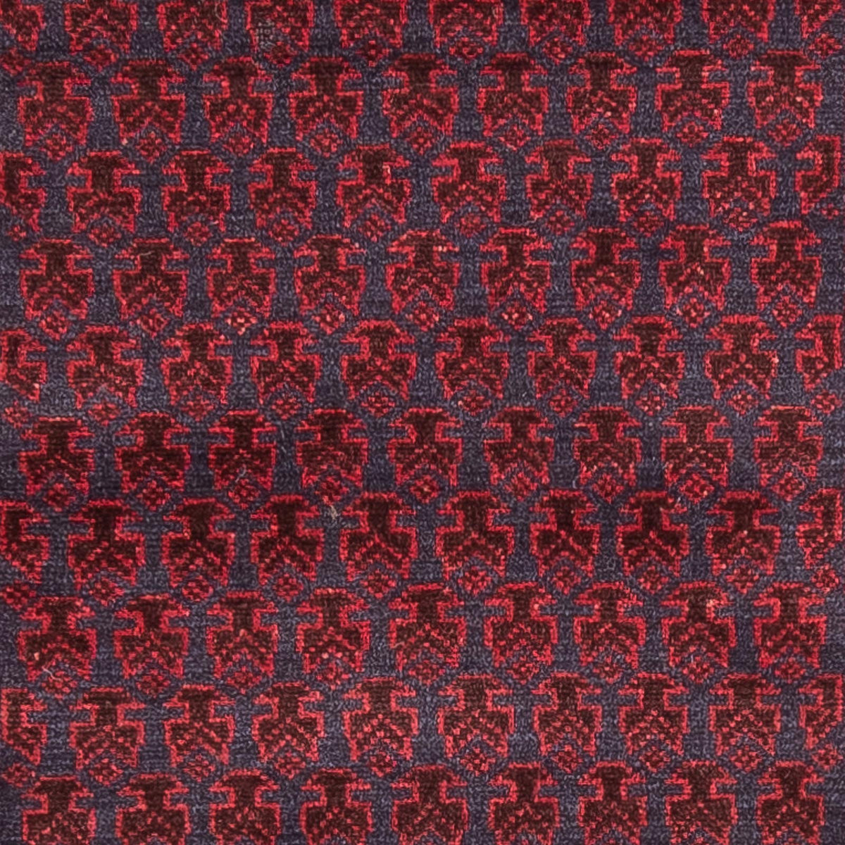 Tapis Belutsch - Tapis de prière - 140 x 87 cm - bleu