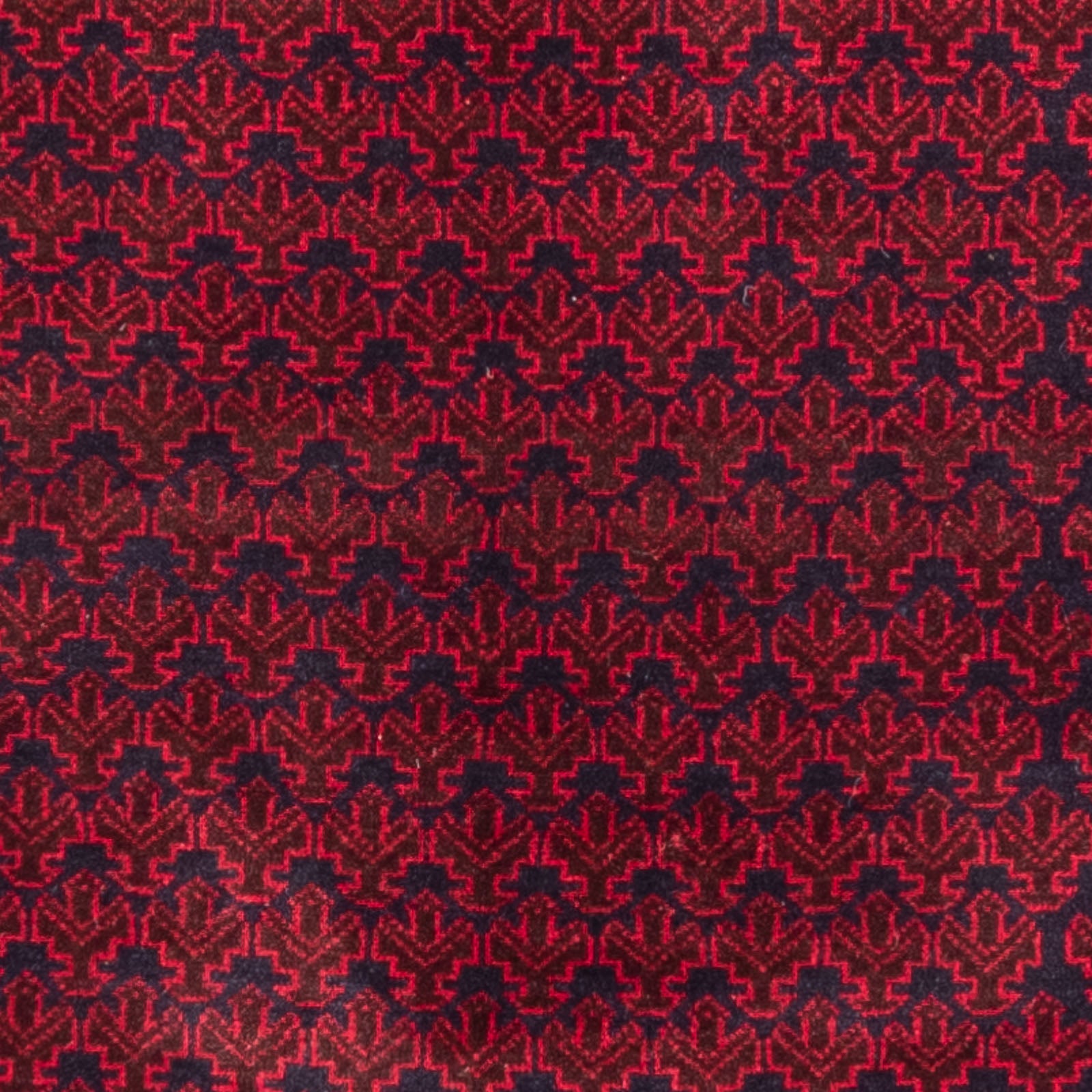 Tapis Belutsch - Tapis de prière - 142 x 89 cm - bleu