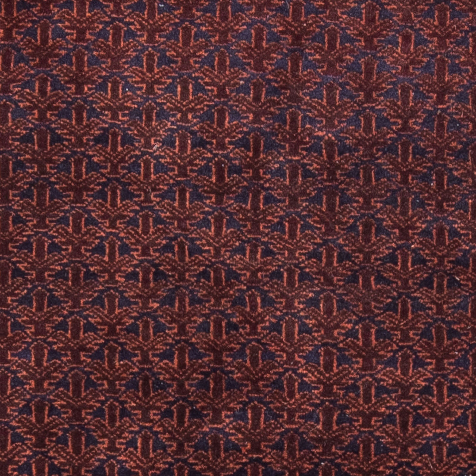 Tapis Belutsch - Tapis de prière - 146 x 96 cm - bleu foncé