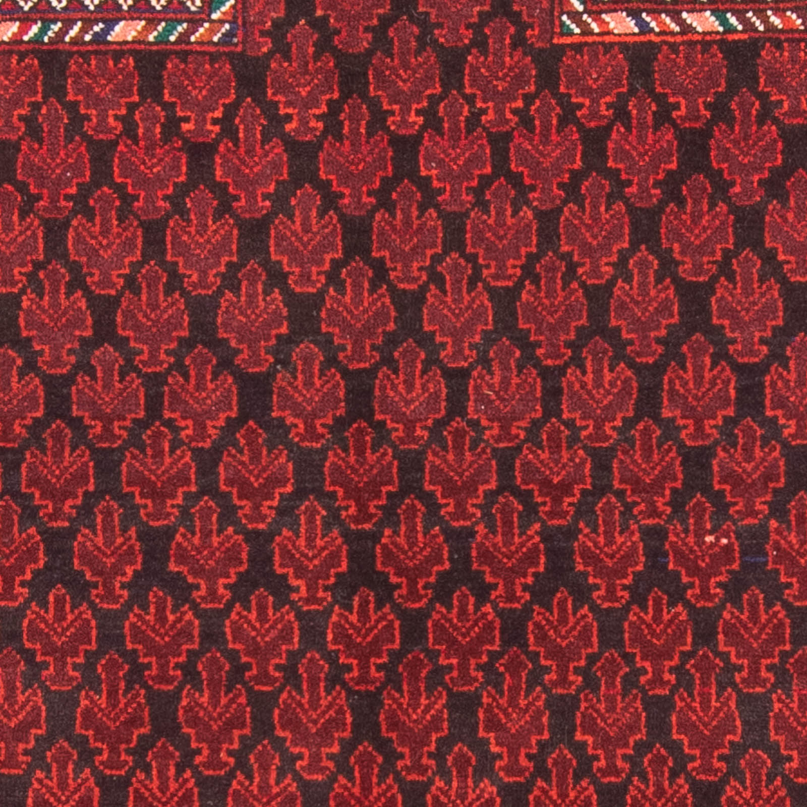 Tapis Belutsch - Tapis de prière - 155 x 103 cm - rouge