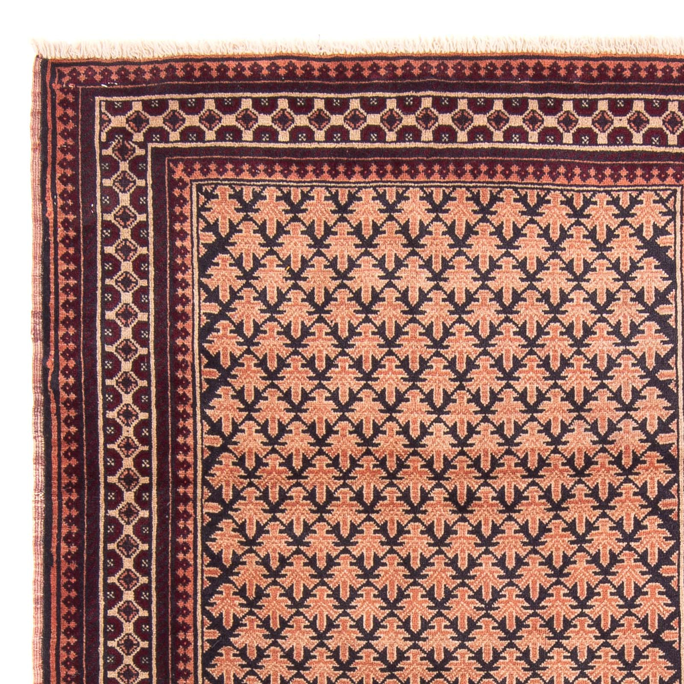 Tapis Belutsch 146x92cm - Tapis oriental