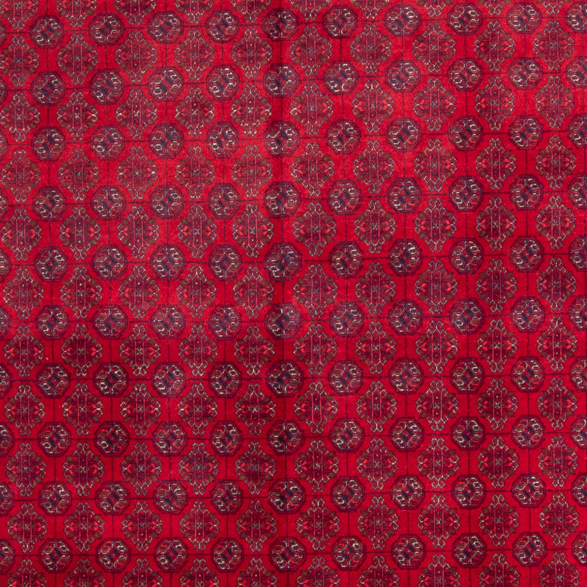 Tapis afghan - Boukhara - 340 x 240 cm - rouge