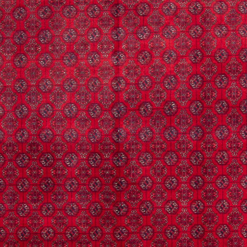 Tapis afghan - Boukhara - 340 x 240 cm - rouge
