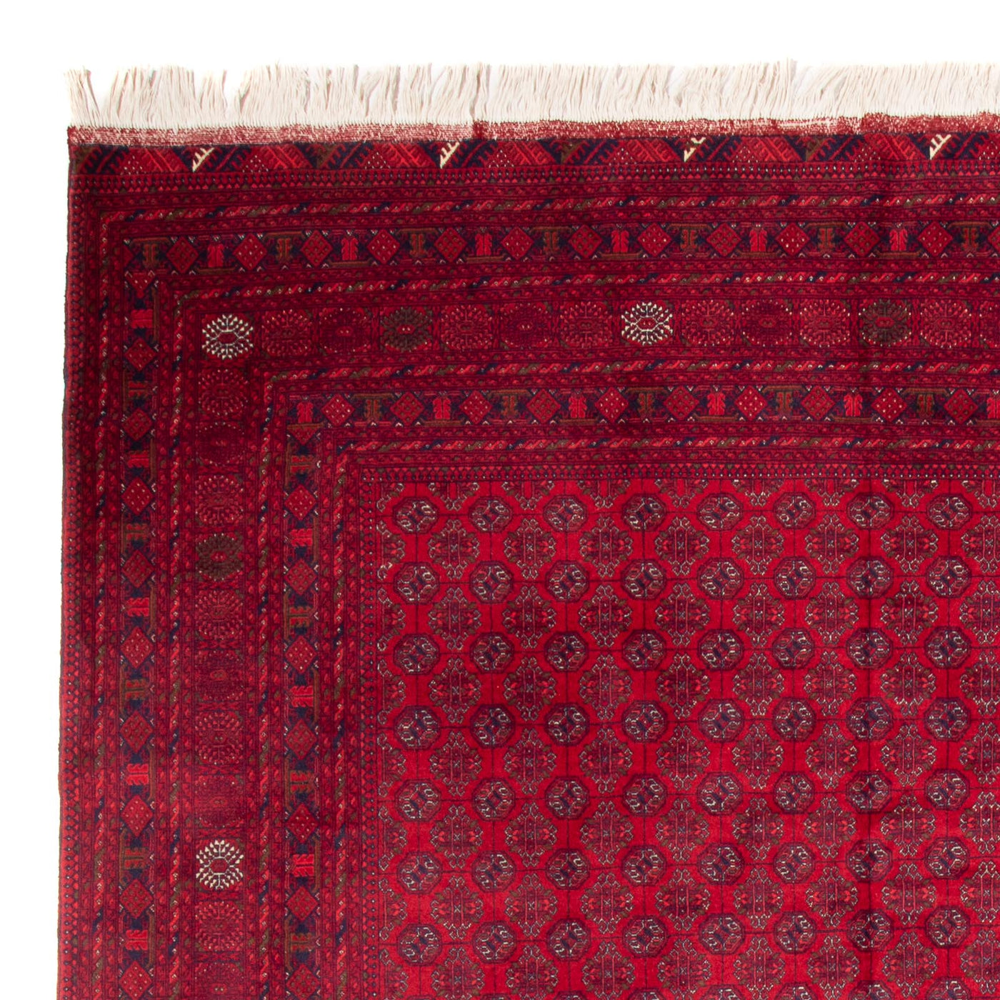 Tapis de Boukhara Tapis 340x240cm - Tapis oriental