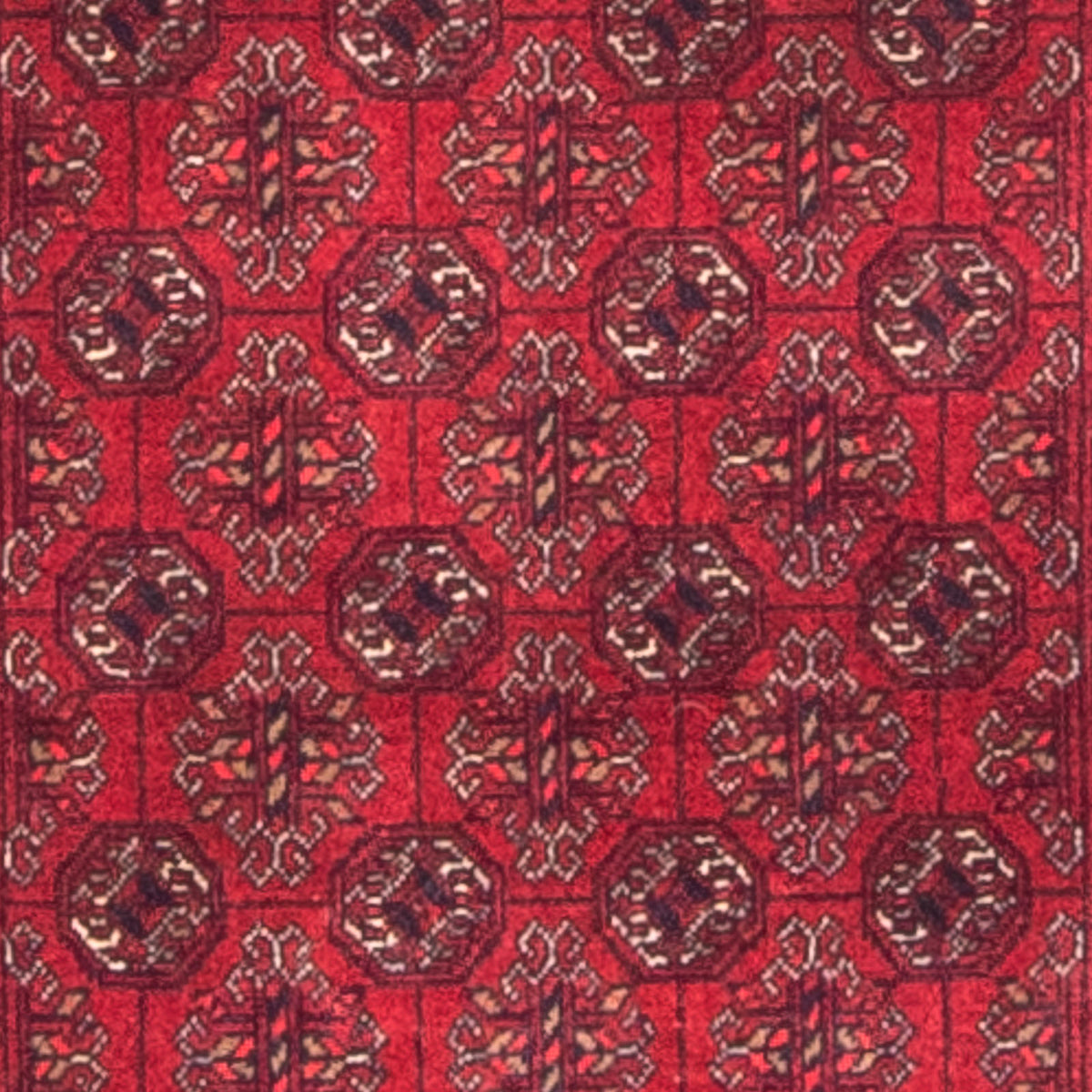 Tapis de couloir Tapis afghan - Boukhara - 290 x 80 cm - rouge