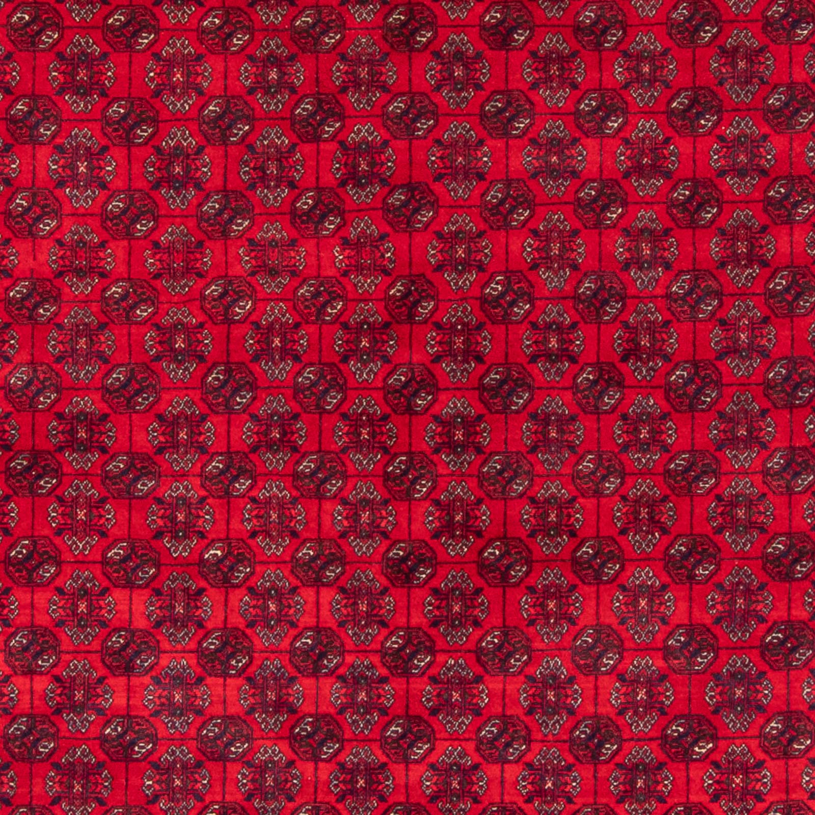 Tapis afghan - Boukhara - 290 x 196 cm - rouge