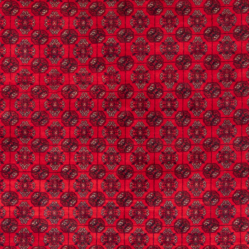 Tapis afghan - Boukhara - 290 x 196 cm - rouge