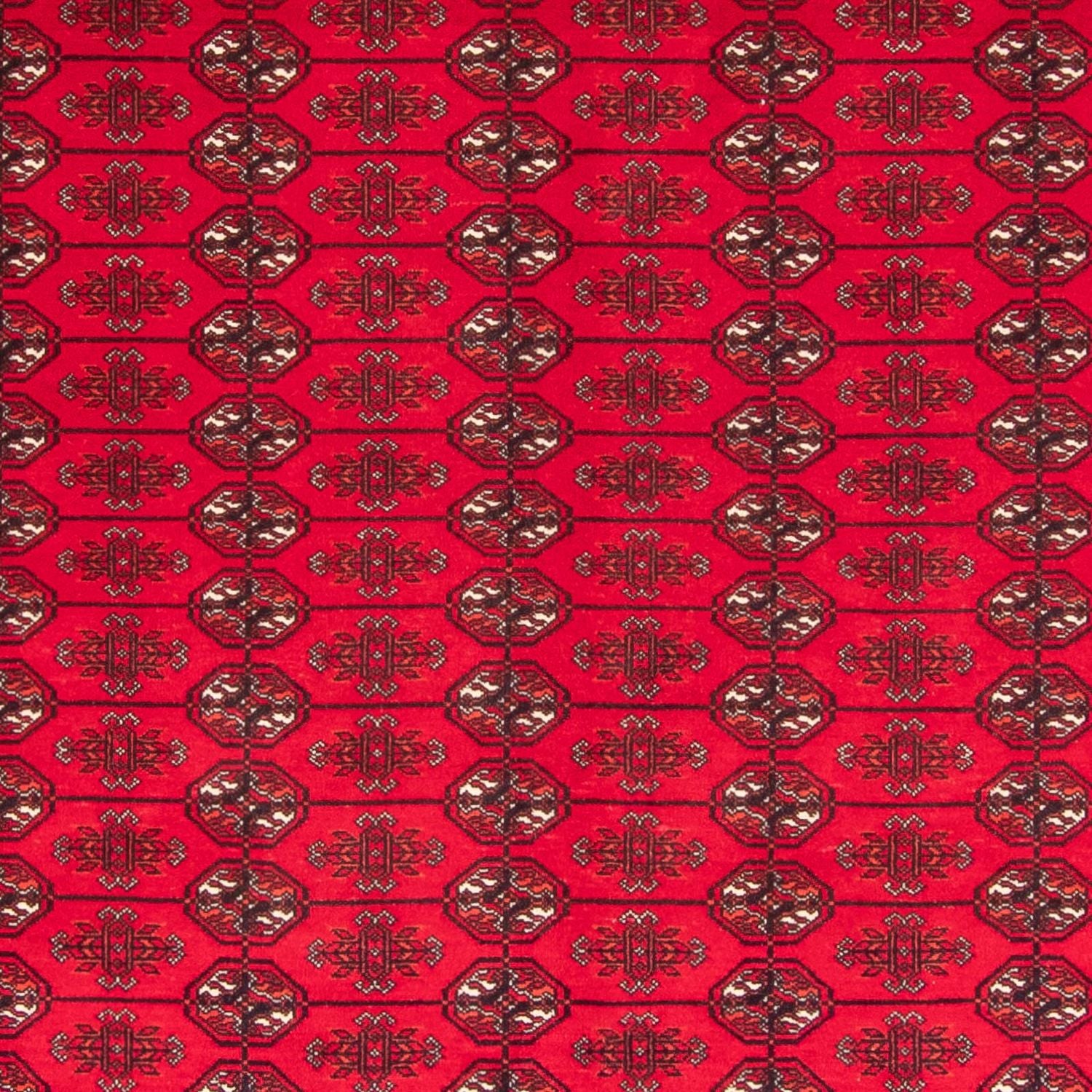 Tapis afghan - Boukhara - 282 x 200 cm - rouge