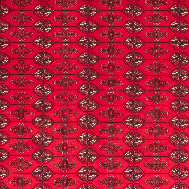 Tapis afghan - Boukhara - 282 x 200 cm - rouge
