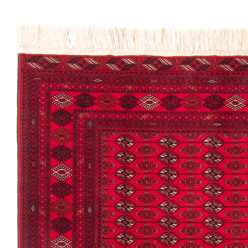 Tapis afghan - Boukhara - 282 x 200 cm - rouge