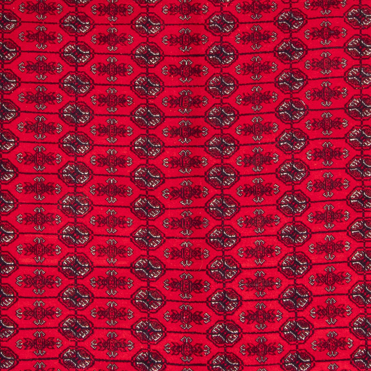 Tapis afghan - Boukhara - 292 x 200 cm - rouge