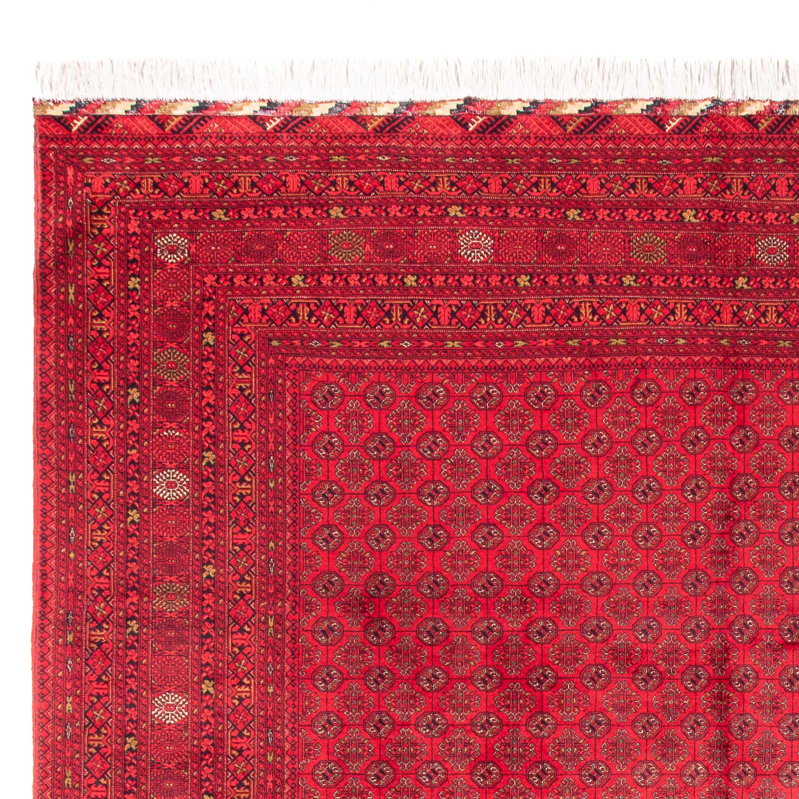 Tapis afghan - Boukhara - 385 x 300 cm - rouge