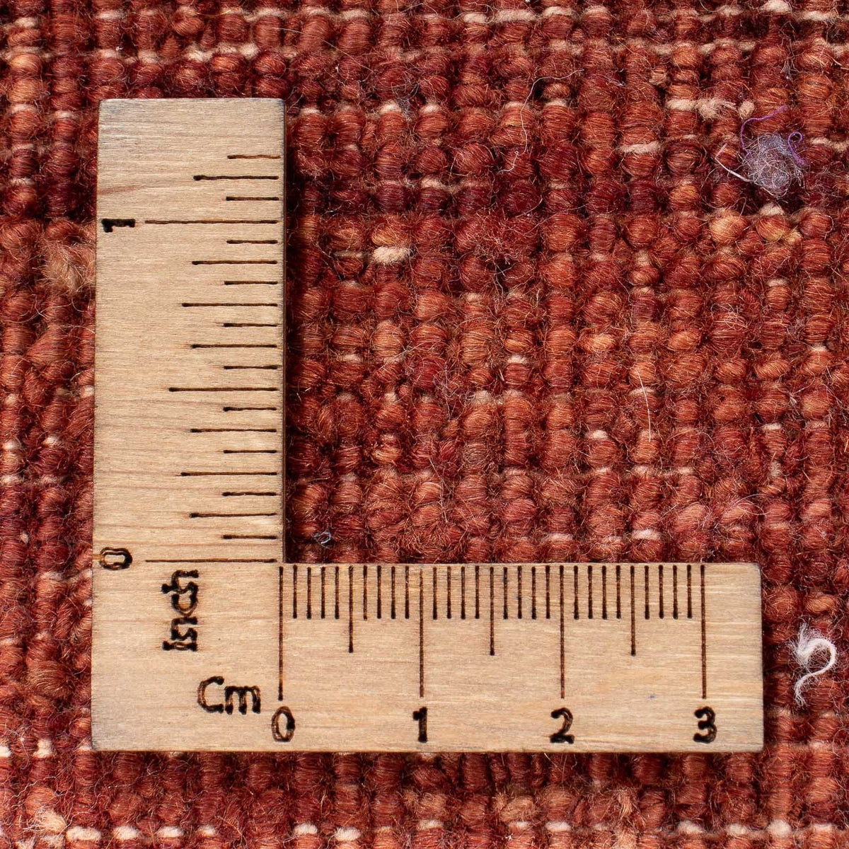 Tapis Ziegler - Moderne carré  - 215 x 197 cm - bleu