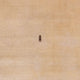 Tapis Gabbeh - Softy - 300 x 200 cm - beige