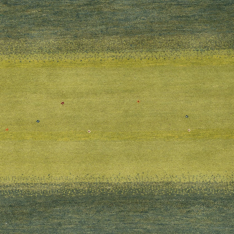 Tapis Gabbeh - Loribaft Indus - 240 x 170 cm - vert