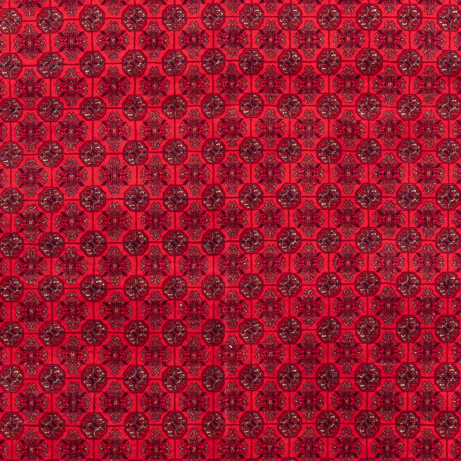 Tapis afghan - 295 x 194 cm - rouge