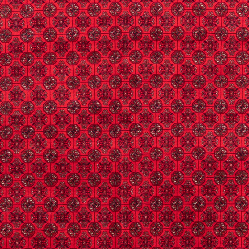 Tapis afghan - 295 x 194 cm - rouge