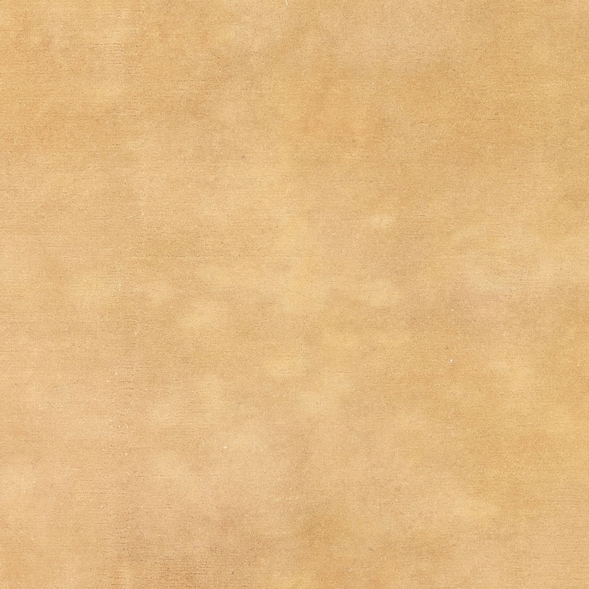 Tapis Népalais - 242 x 166 cm - beige clair