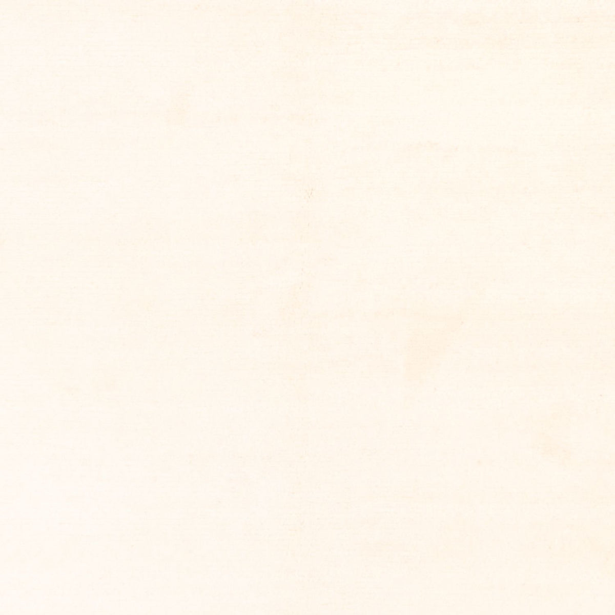 Tapis Népalais - 200 x 142 cm - blanc