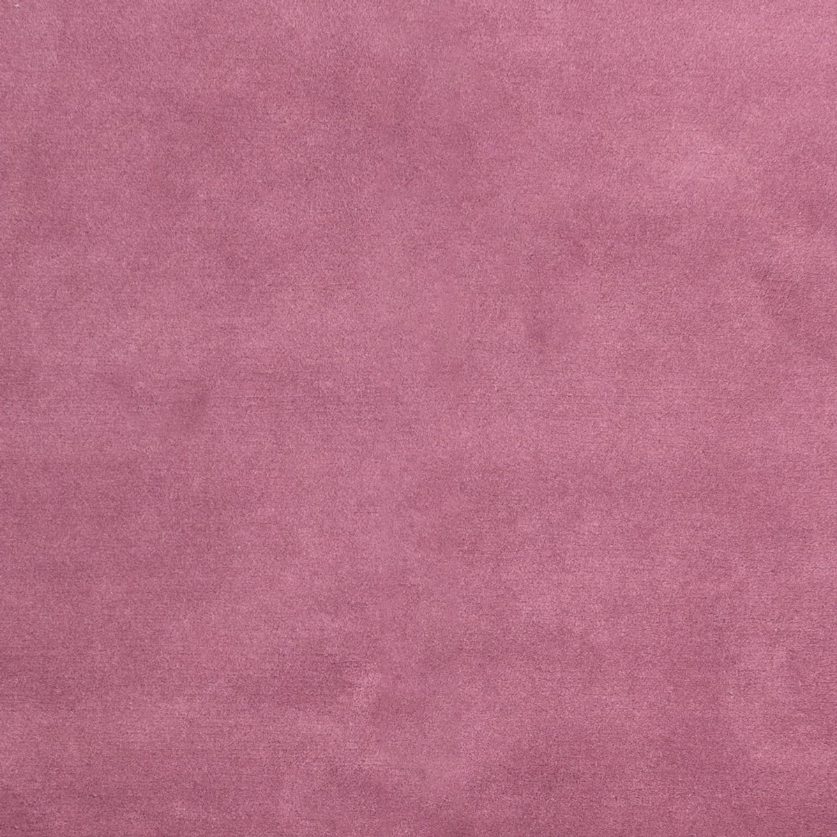 Tapis Népalais - 180 x 120 cm - fuchsia