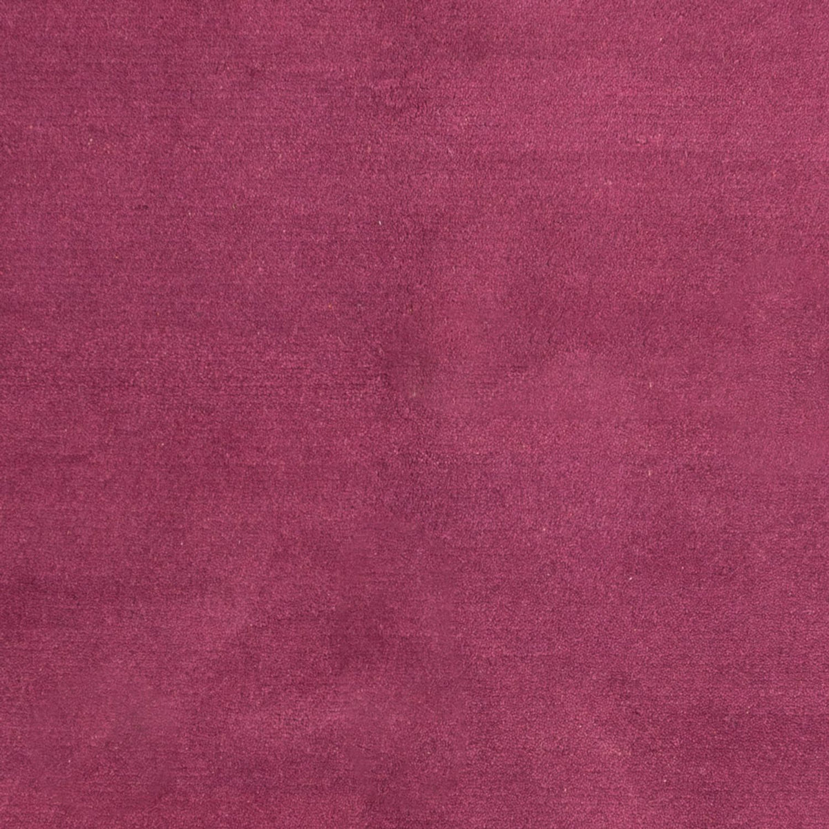 Tapis Népalais - 176 x 120 cm - fuchsia