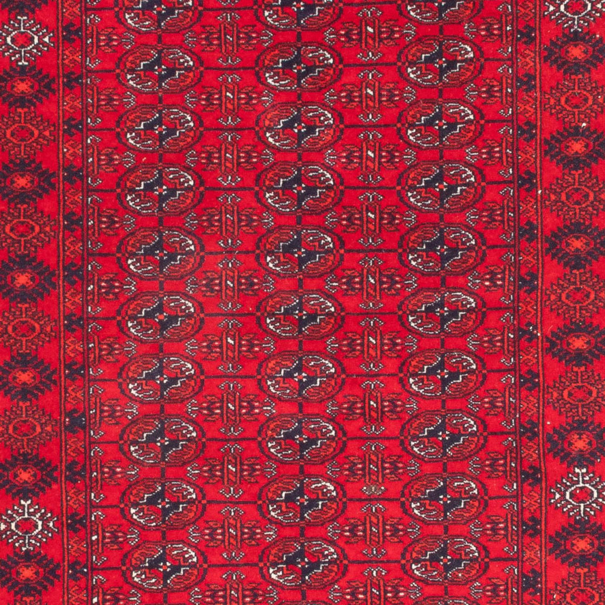 Tapis de couloir Tapis afghan - Boukhara - 260 x 85 cm - rouge