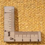 Tapis Kelim - Tendance - 200 x 140 cm - multicolore