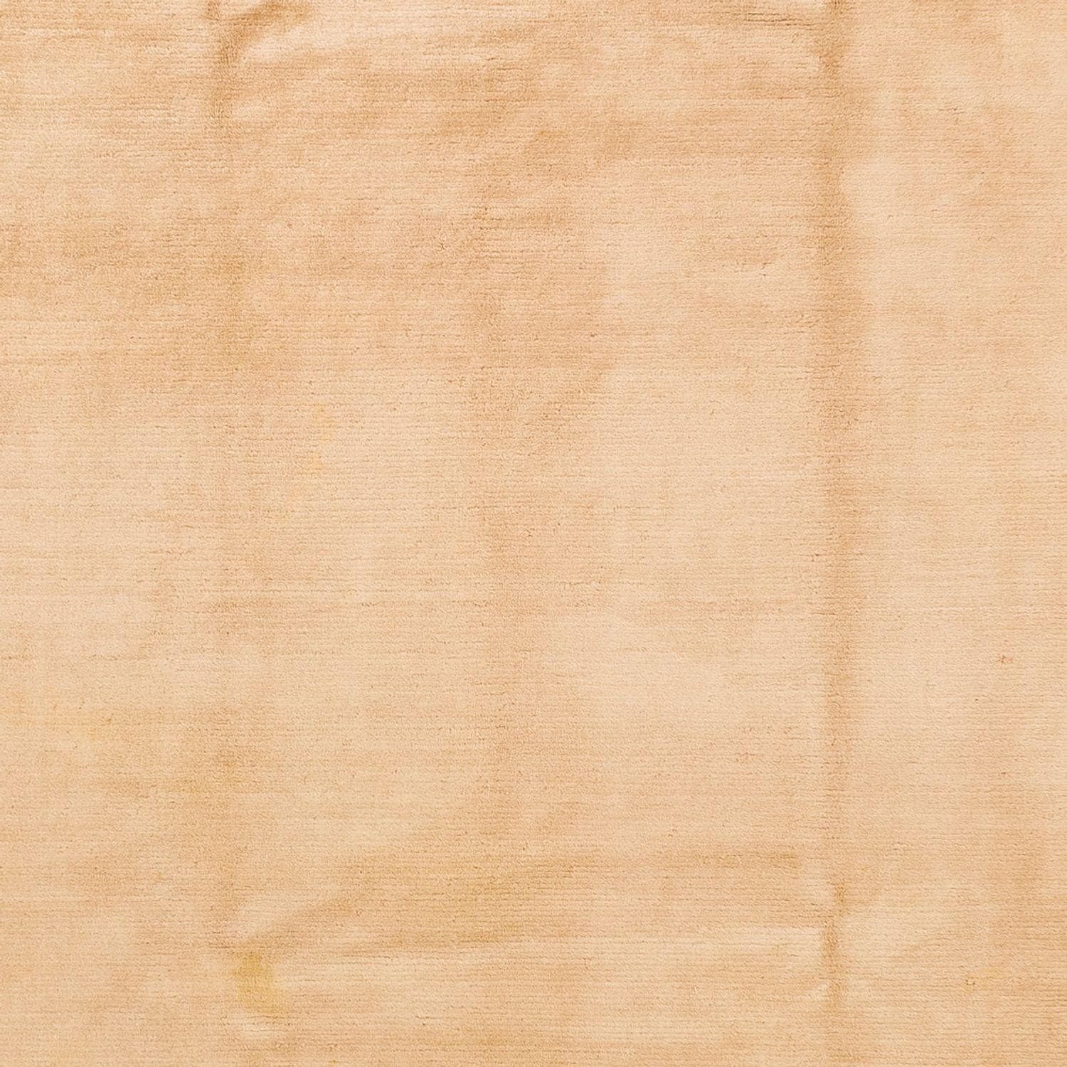 Tapis Népalais - 340 x 240 cm - beige