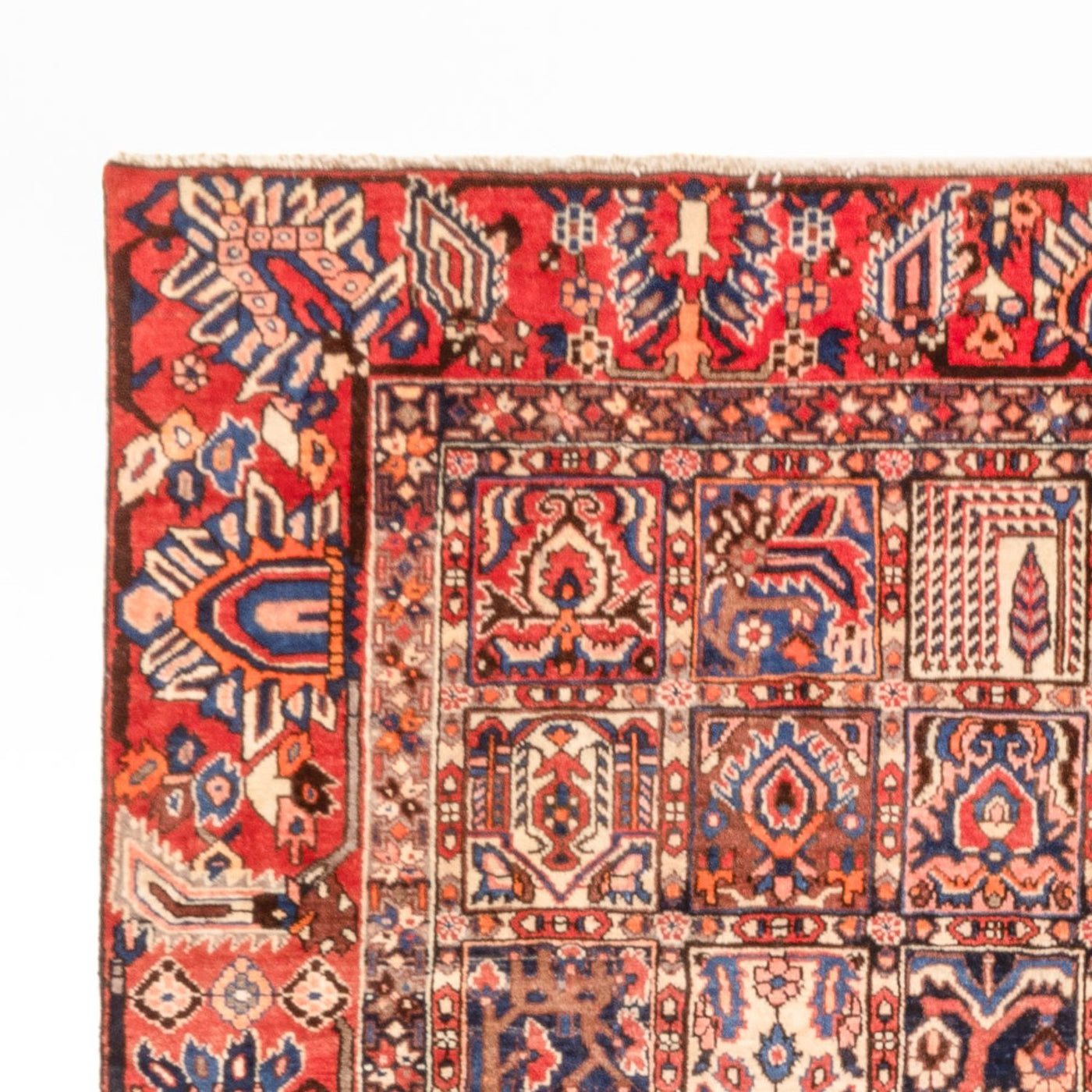 Tapis Bakhtiari Tapis 340x250cm - Tapis persan