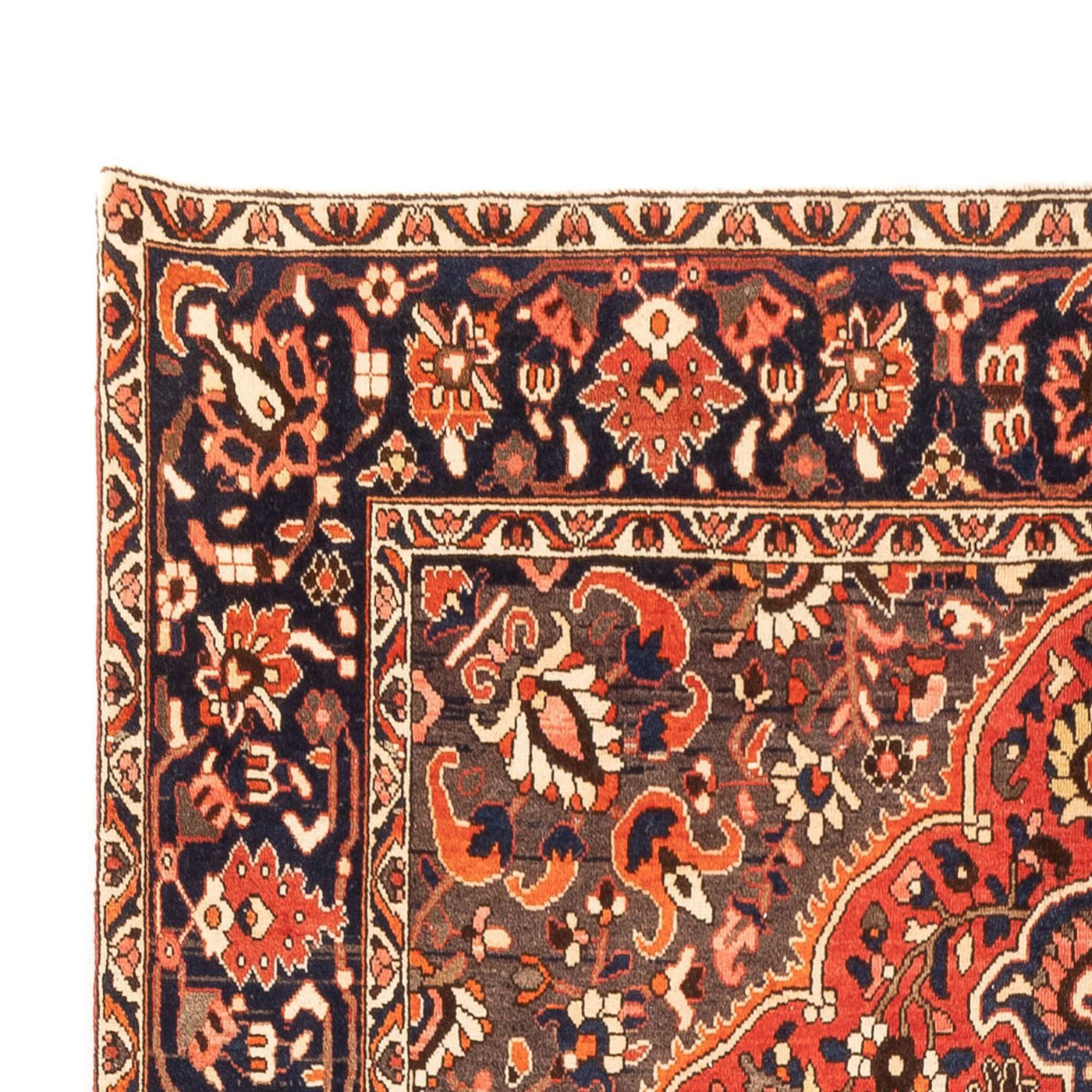 Tapis Bakhtiari Tapis 310x210cm - Tapis persan