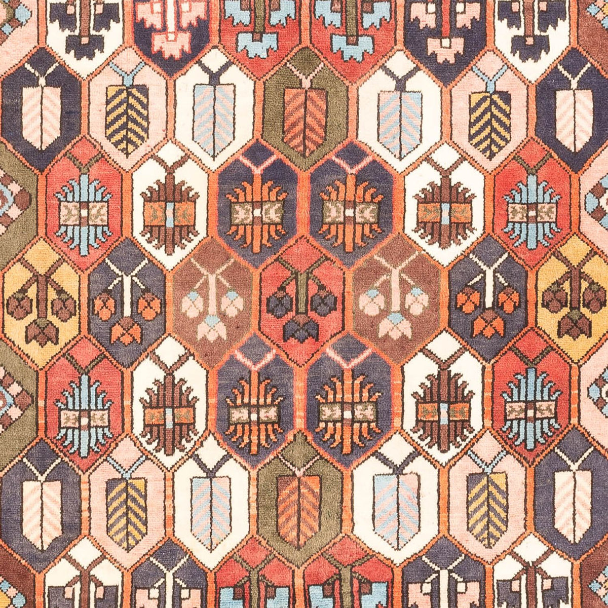 Tapis persan - Nomadic - 305 x 215 cm - multicolore