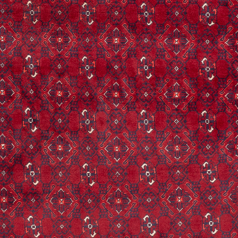 Tapis afghan - Boukhara - 281 x 193 cm - rouge