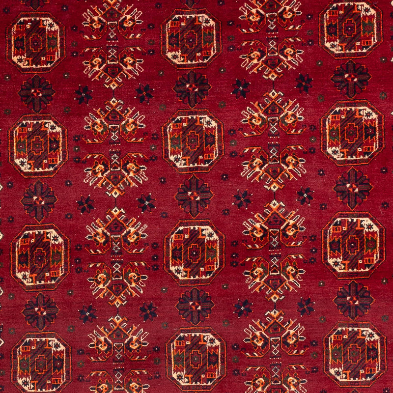 Tapis afghan - Boukhara - 284 x 194 cm - rouge