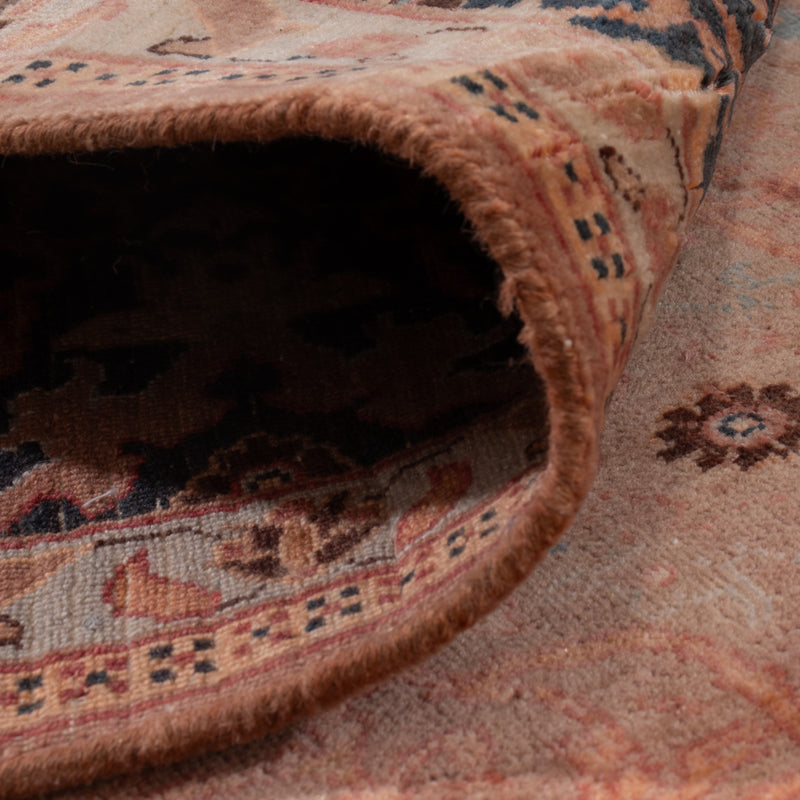 Ariana Tapis 276x207cm - Tapis oriental