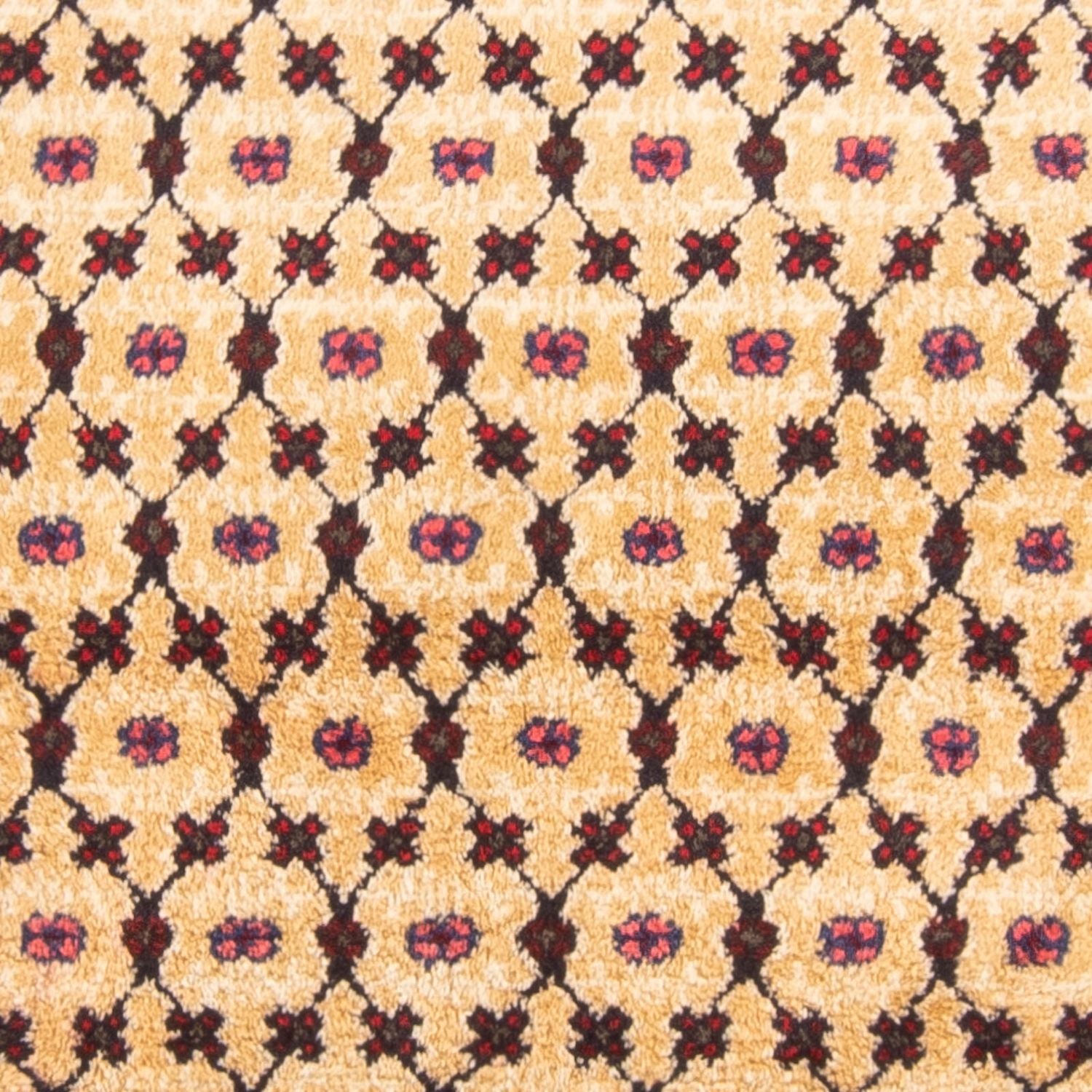 Tapis persan - Nomadic carré  - 147 x 131 cm - beige