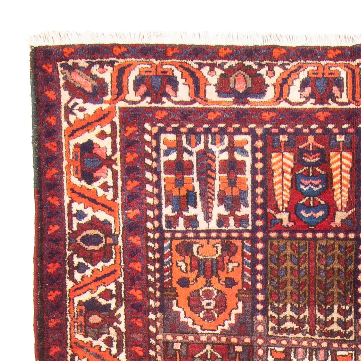 Tapis Bakhtiari Tapis 290x158cm - Tapis persan