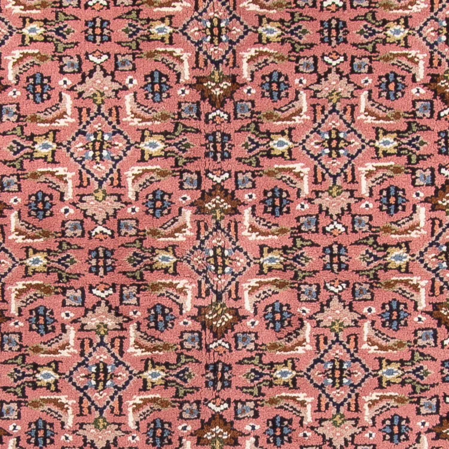 Tapis oriental - Bidjar - Indus - 240 x 170 cm - saumon
