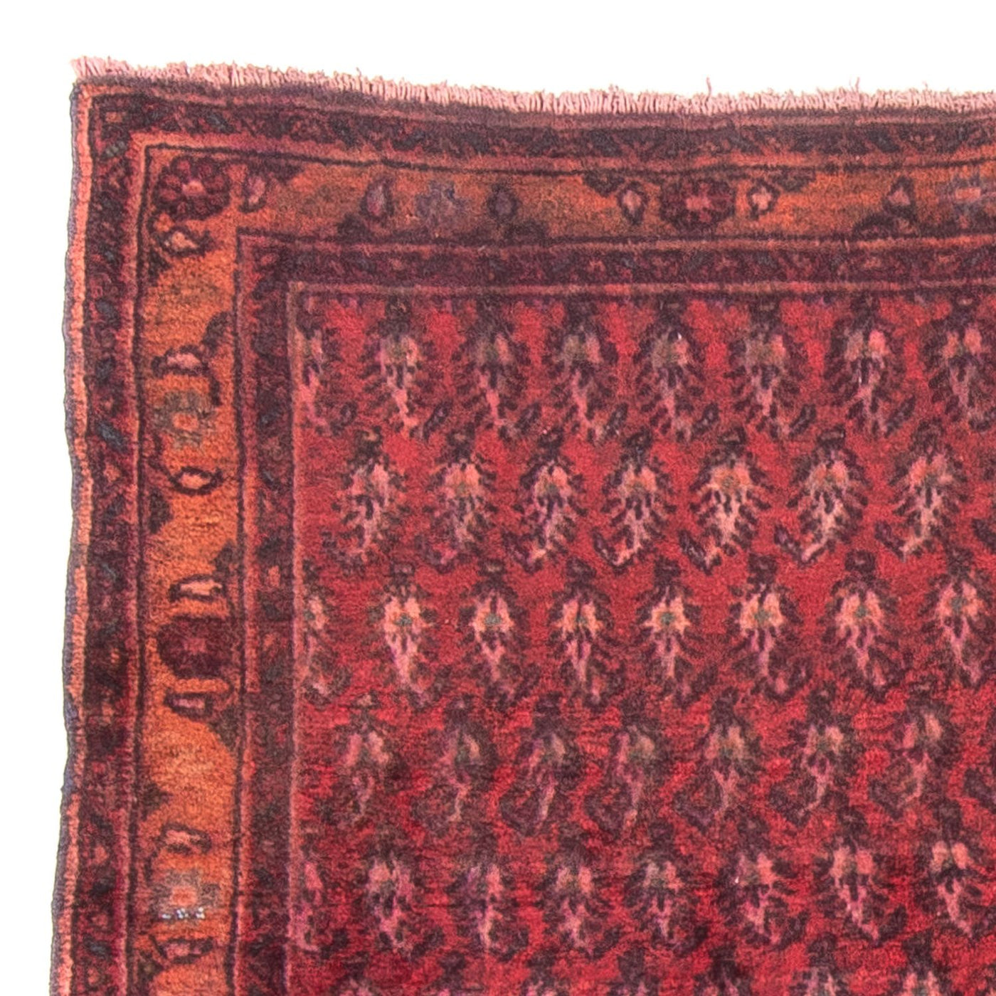 Tapis de Hamadan Tapis 150x140cm - Tapis persan