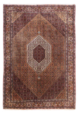 Tapis persan - Bidjar - 305 x 210 cm - marron