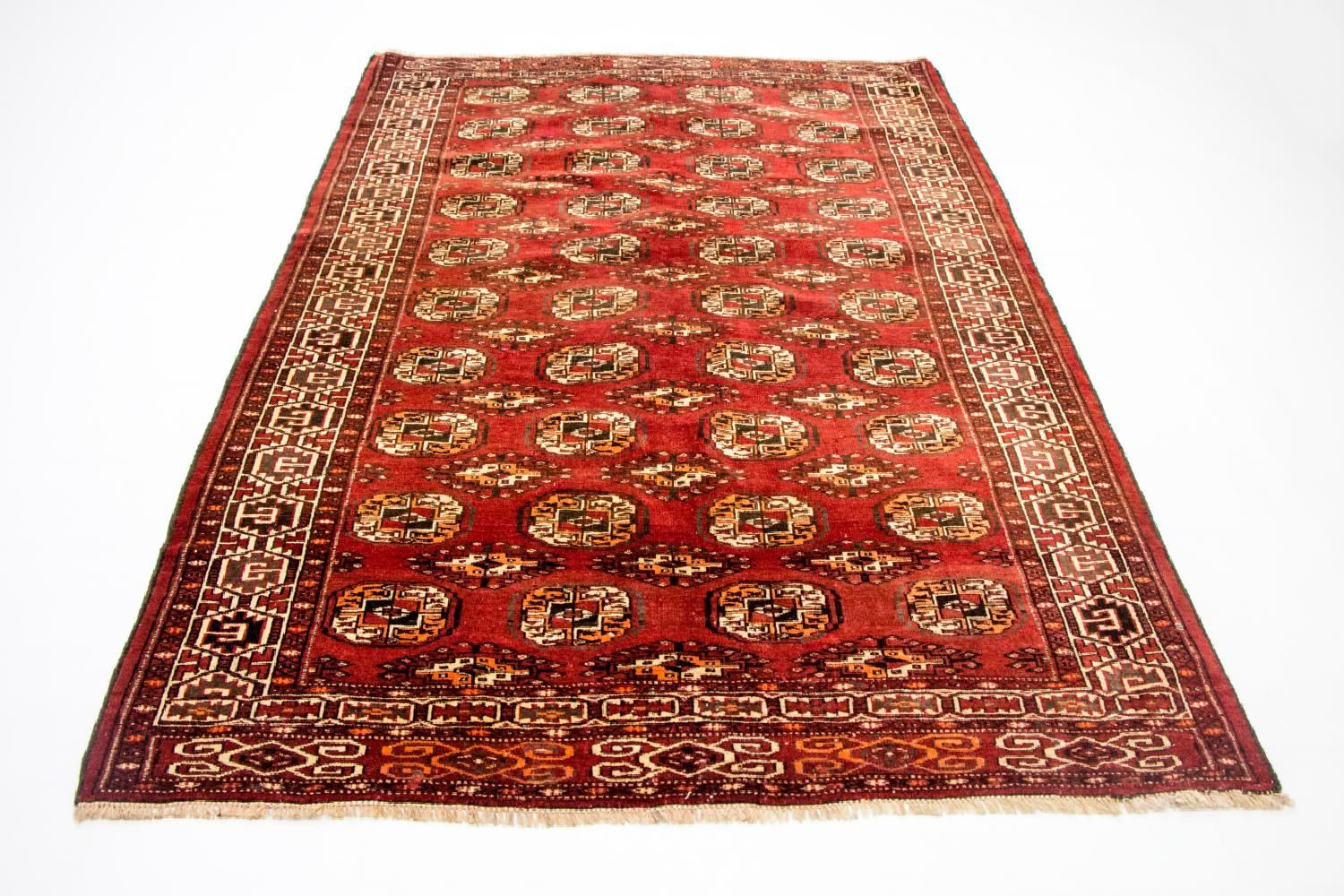 Tapis afghan - Boukhara - 215 x 152 cm - rouge
