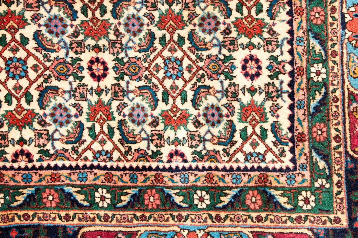 Bidjar - Takab Tapis 315x223cm - Tapis persan