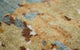 Tapis design - 60 x 40 cm - multicolore