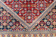 Tapis de Bidjar Tapis - Tapis oriental
