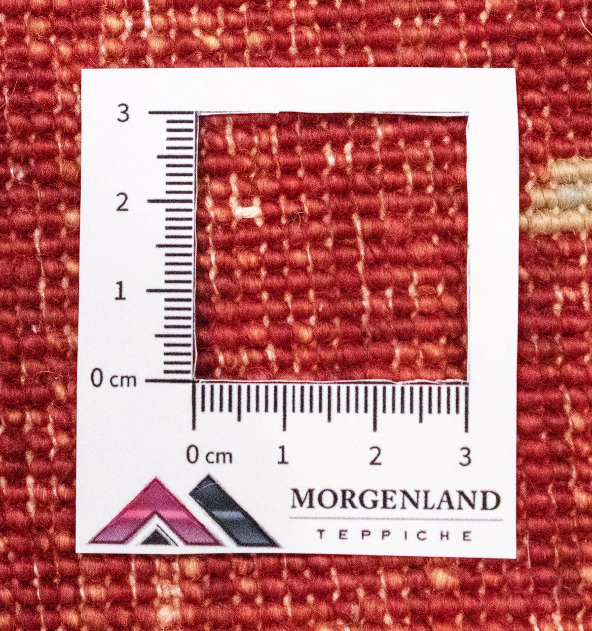 Tapis de couloir Tapis Ziegler - 301 x 82 cm - rouge