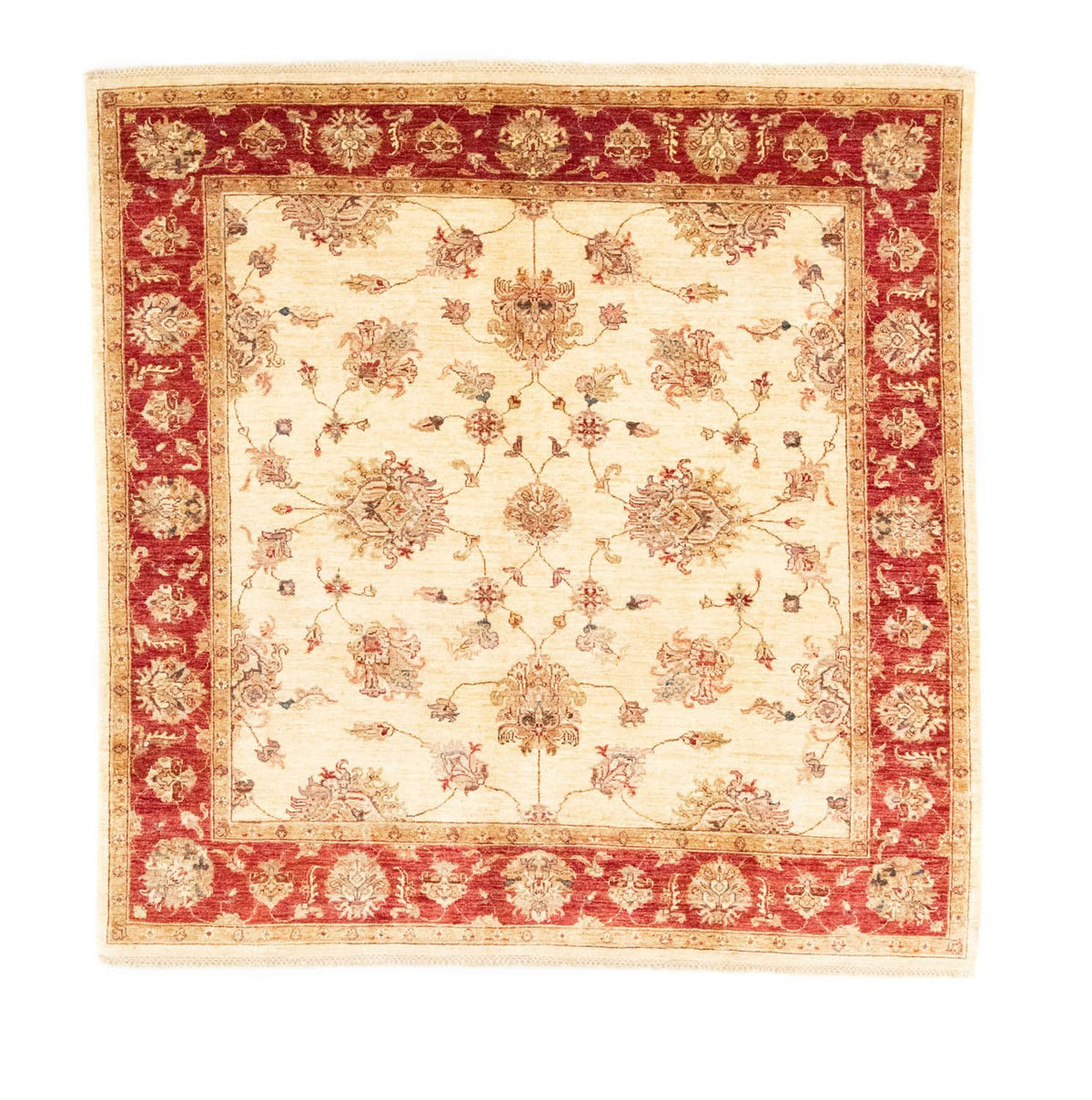 Tapis Ziegler carré  - 206 x 204 cm - beige