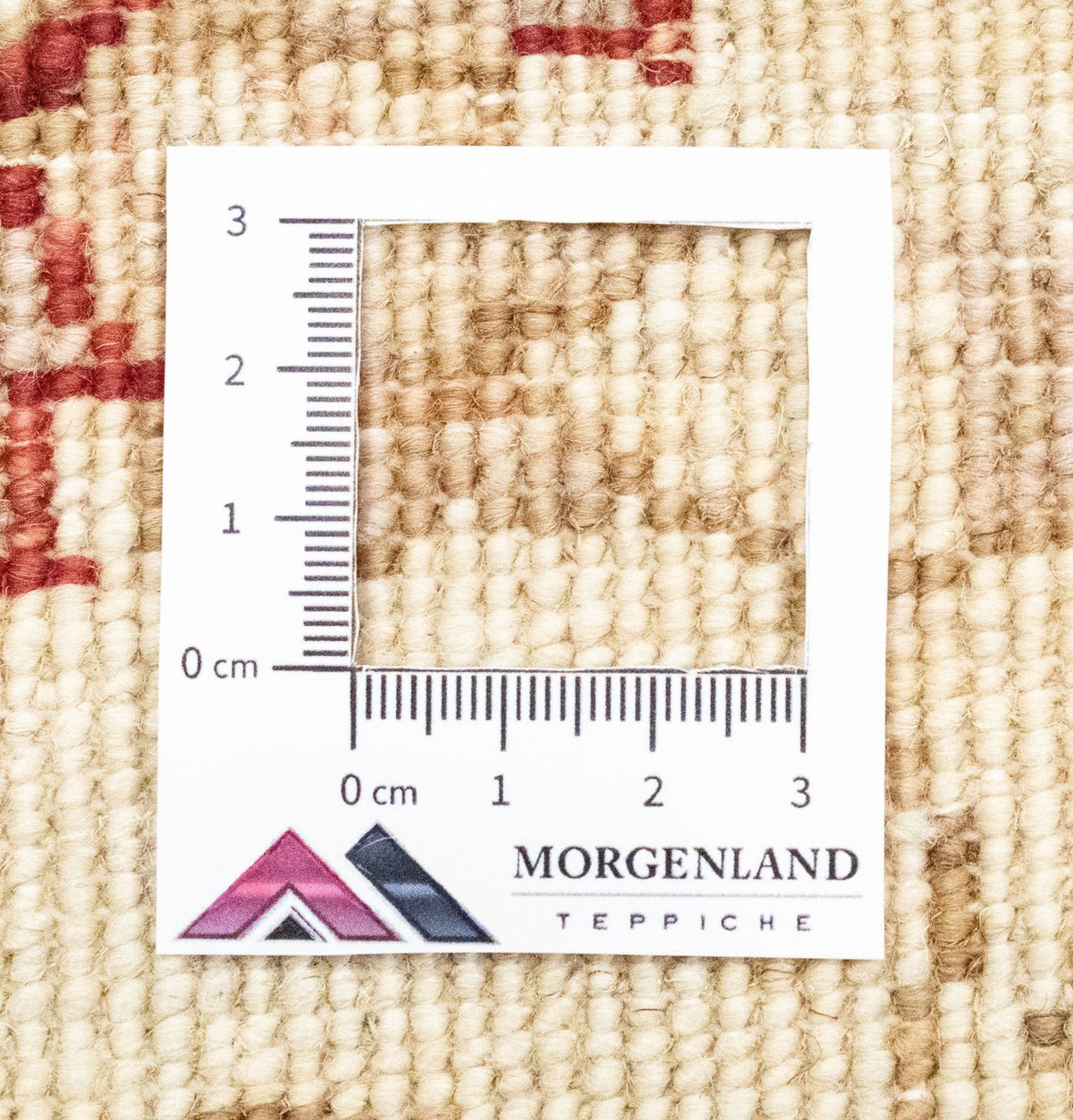 Tapis de couloir Tapis Ziegler - 243 x 79 cm - beige