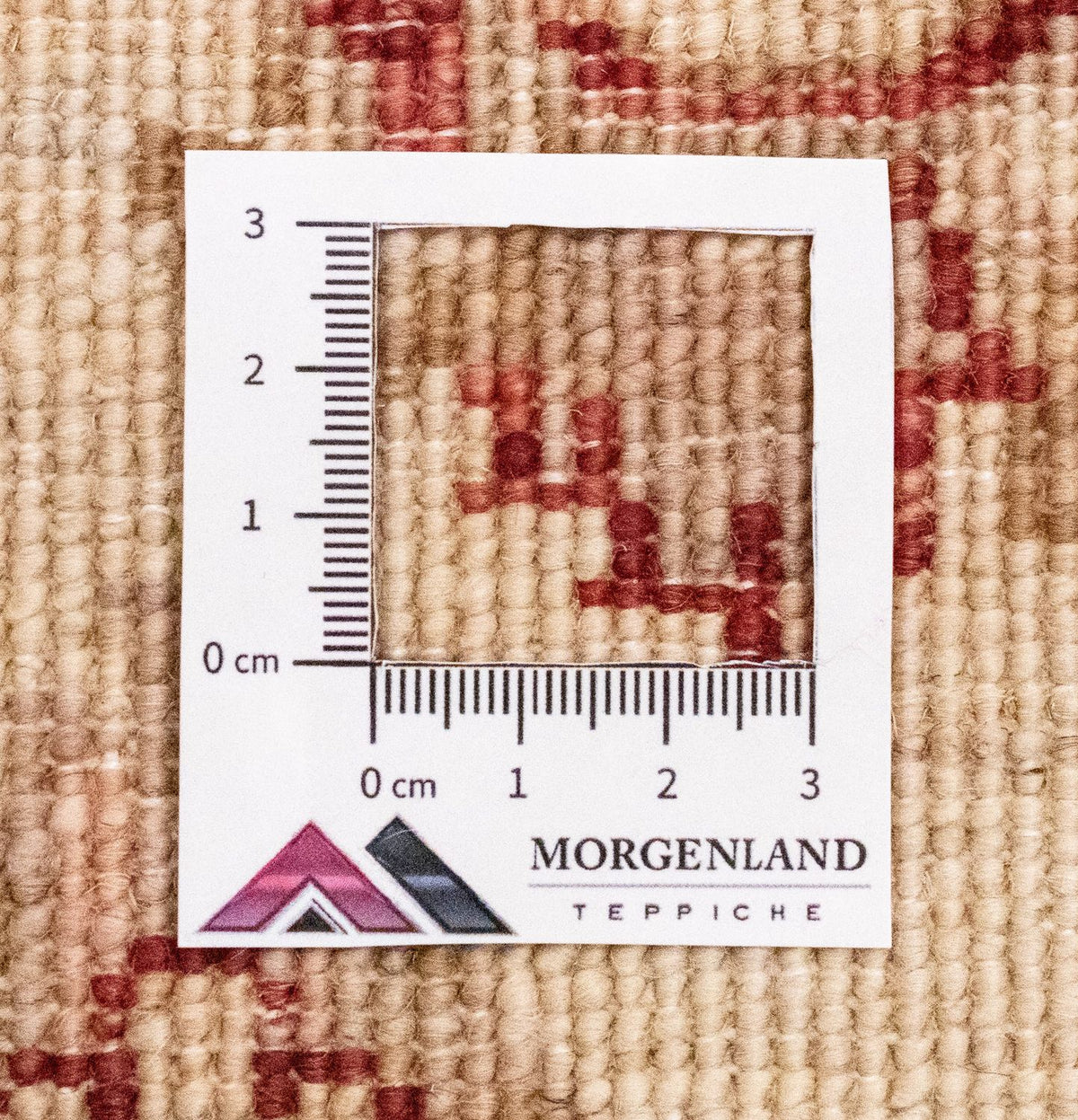 Tapis de couloir Tapis Ziegler - 242 x 81 cm - beige