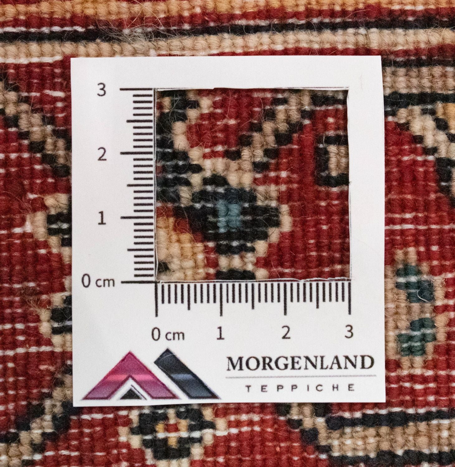 Tapis de couloir Tapis persan - Nomadic - 230 x 90 cm - beige